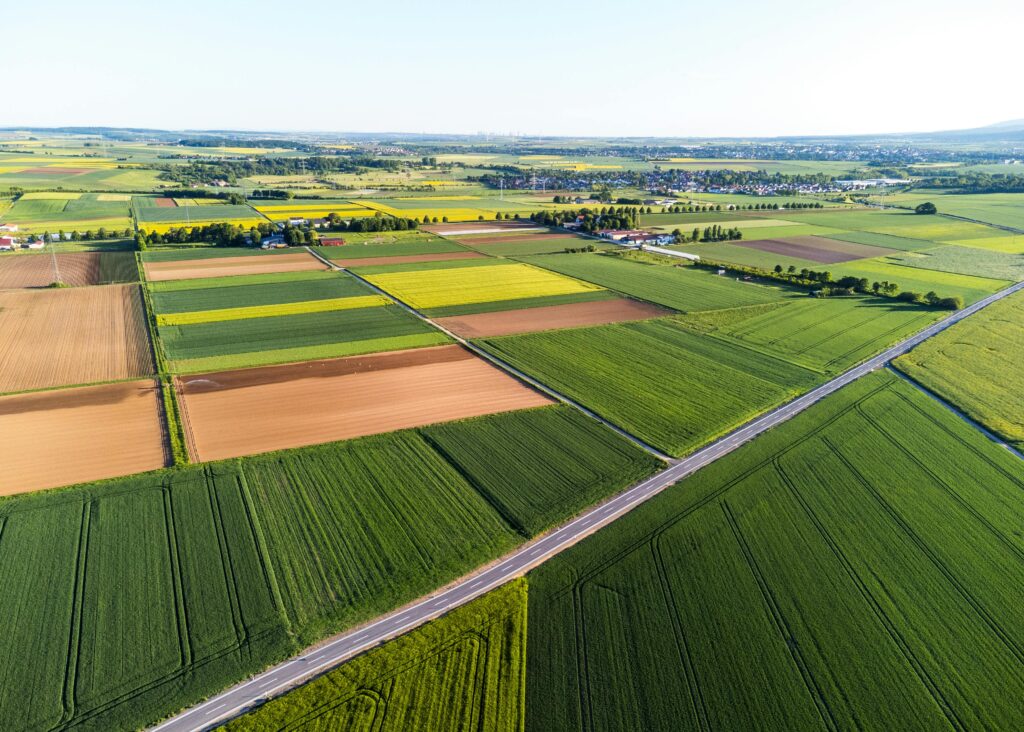 parcelles de champs dans la campagne avec une route traversante